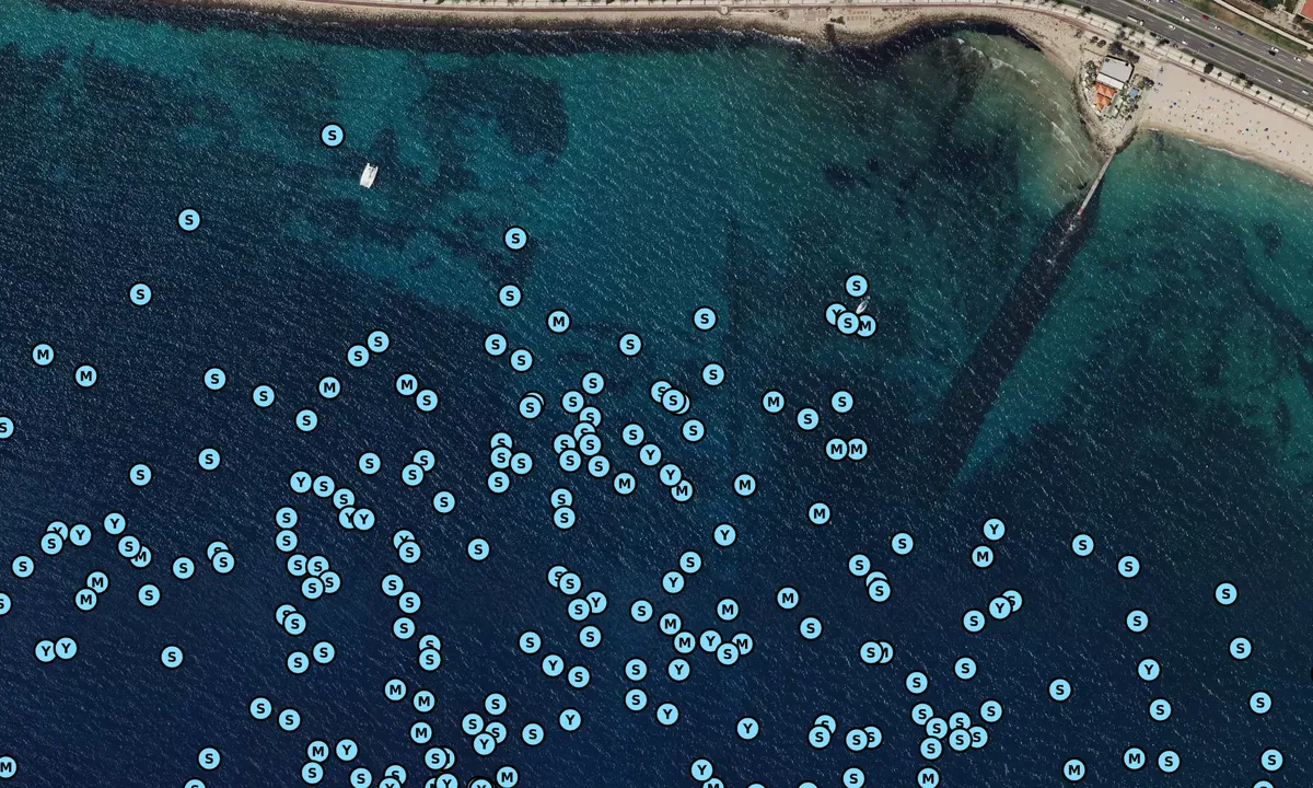 Satelite image of Punta des Gas