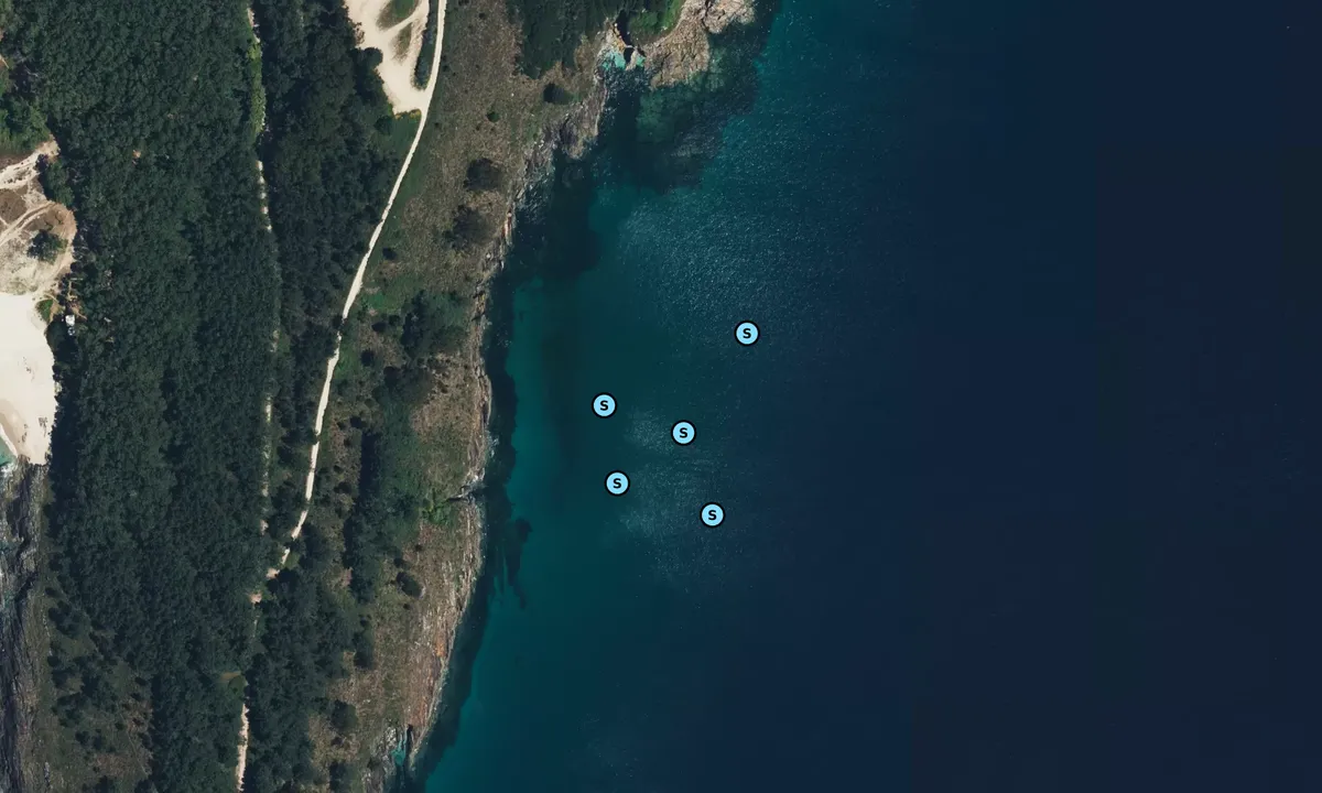 Satelite image of Punta Fusino