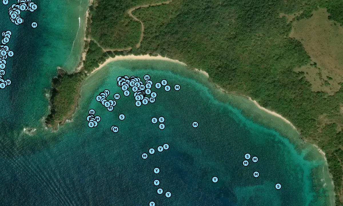 Satelite image of Punta Tamarindo Grande - Culebra