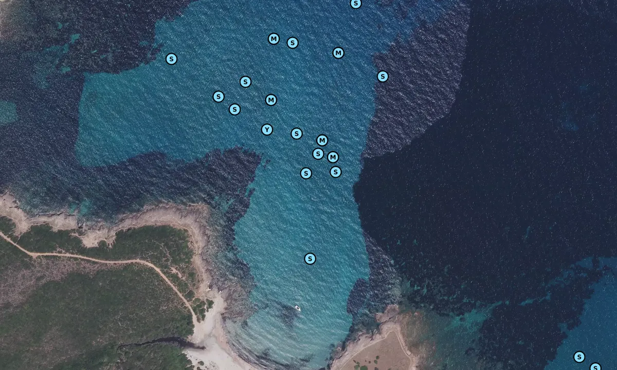 Satelite image of Punta Vecchia