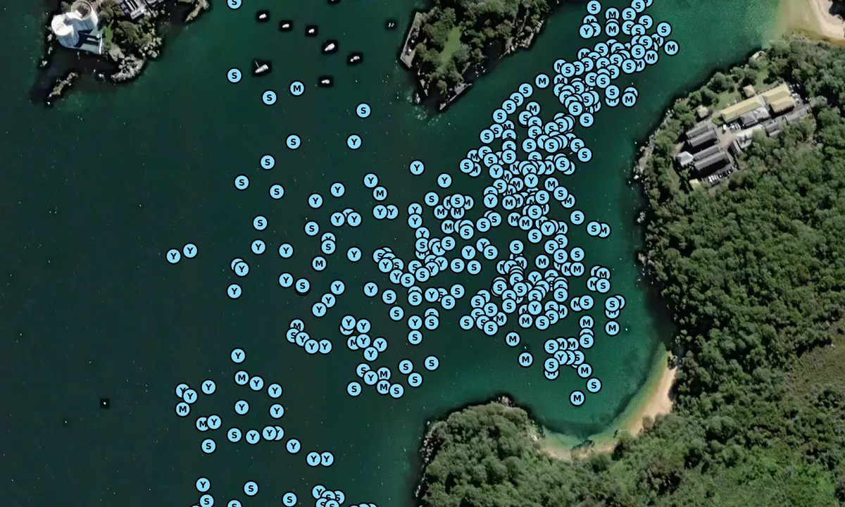 Satelite image of Quarantine Beach