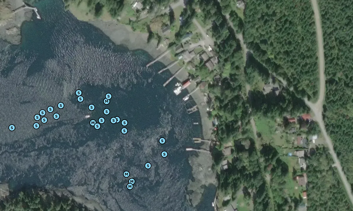 Satelite image of Quathiaski Cove