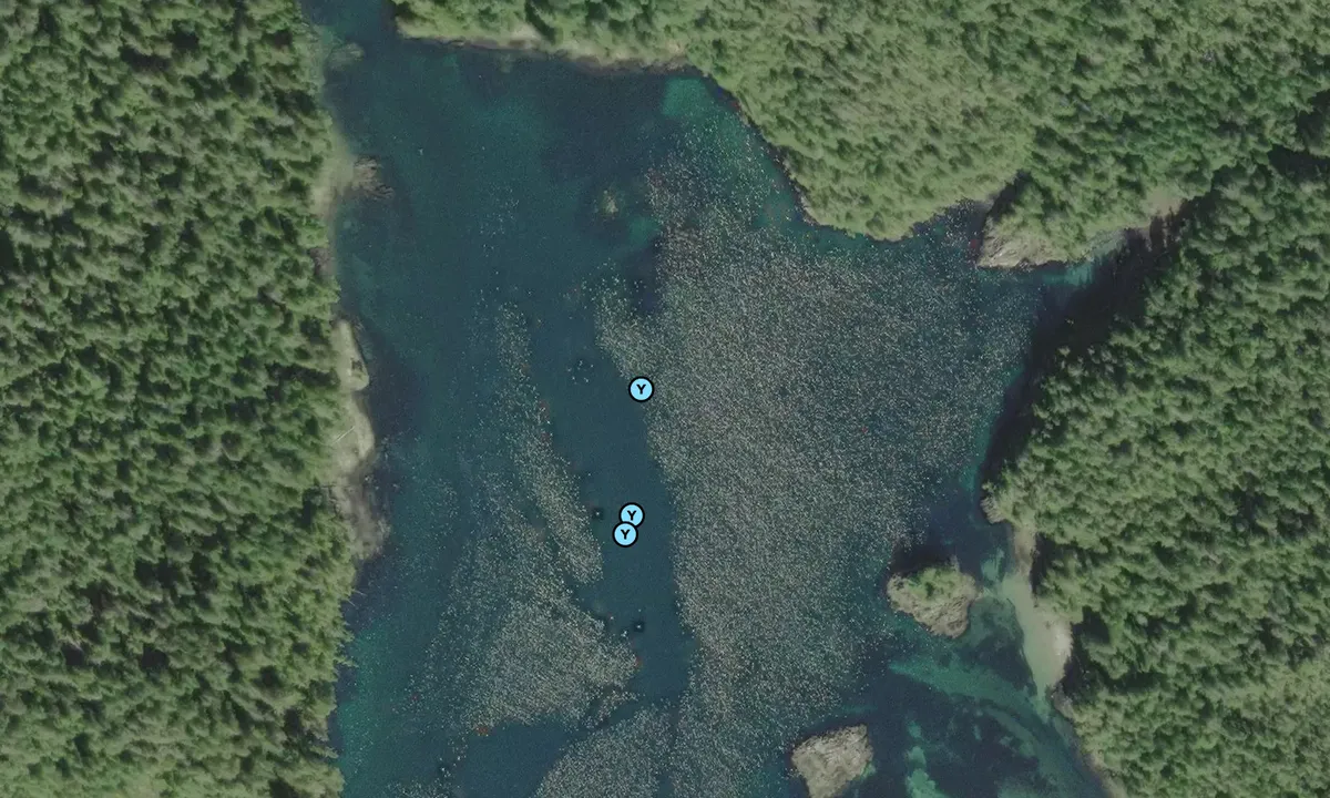 Satelite image of Quiet Cove 2