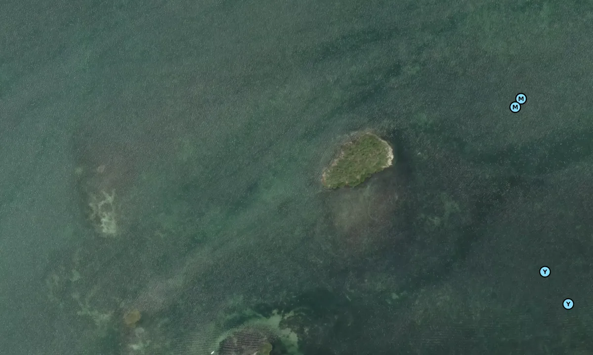 Satelite image of Rachel Key