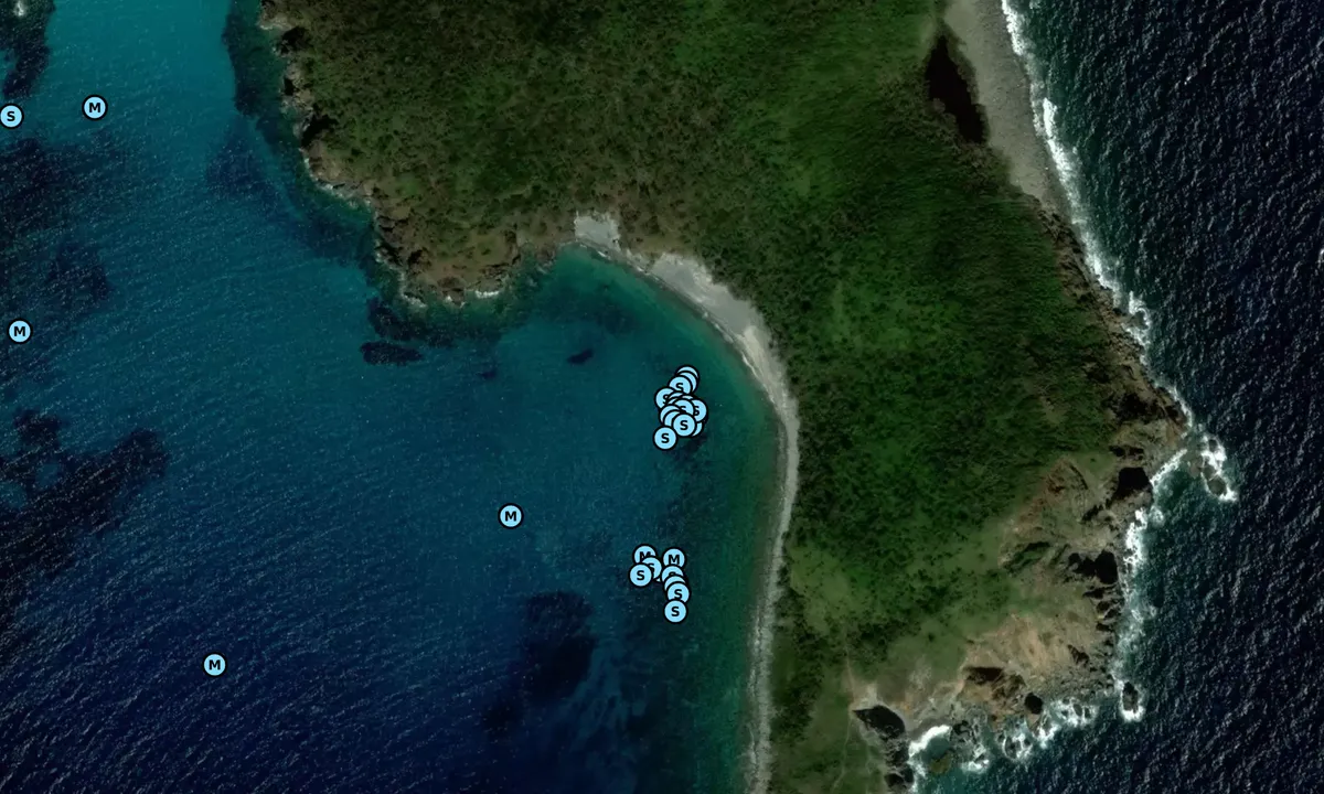 Satelite image of Ram Head (Moorings)