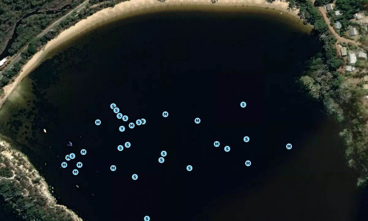 Satelite image of Randalls Bay