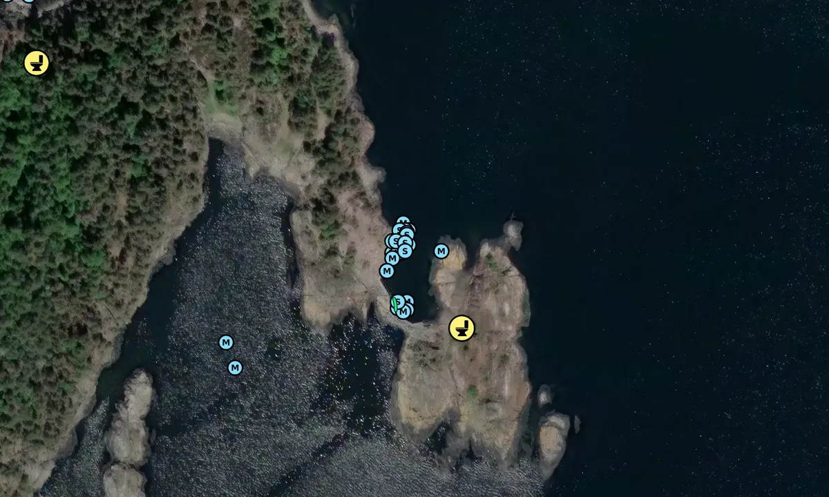 Satelite image of Ranvikholmen
