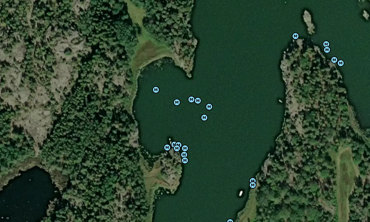 Satelite image of Rassa vikar