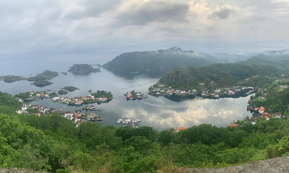 Rasvåg: Utsikt.
Ytre del av havna skimtes nederst midt i bildet (seilbåtene)