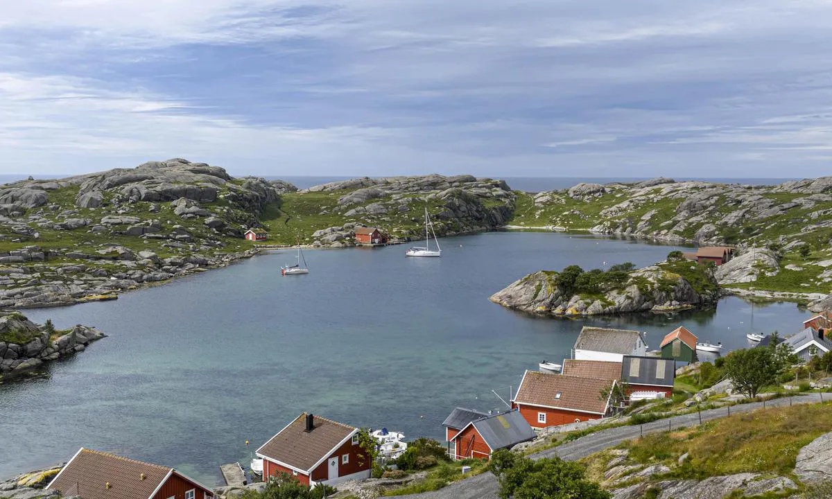Rausvågen: {"base": "no", "no": "En havn med fint milj\u00f8.", "se": "En hamn med trevlig milj\u00f6.", "en": "A harbor with a nice environment.", "da": "En havn med fint milj\u00f8.", "fr": "Un port avec une belle ambiance.", "de": "Ein Hafen mit sch\u00f6ner Atmosph\u00e4re.", "es": "Un puerto con buen ambiente.", "it": "Un porto con un bel ambiente.", "pt": "Um porto com um bom ambiente.", "nl": "Een haven met een fijne sfeer.", "pl": "Przysta\u0144 z przyjemn\u0105 atmosfer\u0105.", "uk": "\u0413\u0430\u0432\u0430\u043d\u044c \u0437 \u043f\u0440\u0438\u0454\u043c\u043d\u043e\u044e \u0430\u0442\u043c\u043e\u0441\u0444\u0435\u0440\u043e\u044e.", "ro": "Un port cu un mediu pl\u0103cut.", "tr": "G\u00fczel bir \u00e7evreye sahip bir liman.", "el": "\u0388\u03bd\u03b1 \u03bb\u03b9\u03bc\u03ac\u03bd\u03b9 \u03bc\u03b5 \u03cc\u03bc\u03bf\u03c1\u03c6\u03bf \u03c0\u03b5\u03c1\u03b9\u03b2\u03ac\u03bb\u03bb\u03bf\u03bd.", "cs": "P\u0159\u00edstav s p\u0159\u00edjemn\u00fdm prost\u0159ed\u00edm.", "hu": "Egy kik\u00f6t\u0151 sz\u00e9p k\u00f6rnyezettel.", "fi": "Satama, jossa on mukava ilmapiiri.", "bg": "\u041f\u0440\u0438\u0441\u0442\u0430\u043d\u0438\u0449\u0435 \u0441 \u0445\u0443\u0431\u0430\u0432\u0430 \u0430\u0442\u043c\u043e\u0441\u0444\u0435\u0440\u0430.", "sr": "\u041b\u0443\u043a\u0430 \u0441\u0430 \u043b\u0435\u043f\u043e\u043c \u0430\u0442\u043c\u043e\u0441\u0444\u0435\u0440\u043e\u043c.", "et": "Sadam, kus on kaunis keskkond.", "lv": "Osta ar jauku vidi.", "lt": "Uostas su malonia aplinka."}