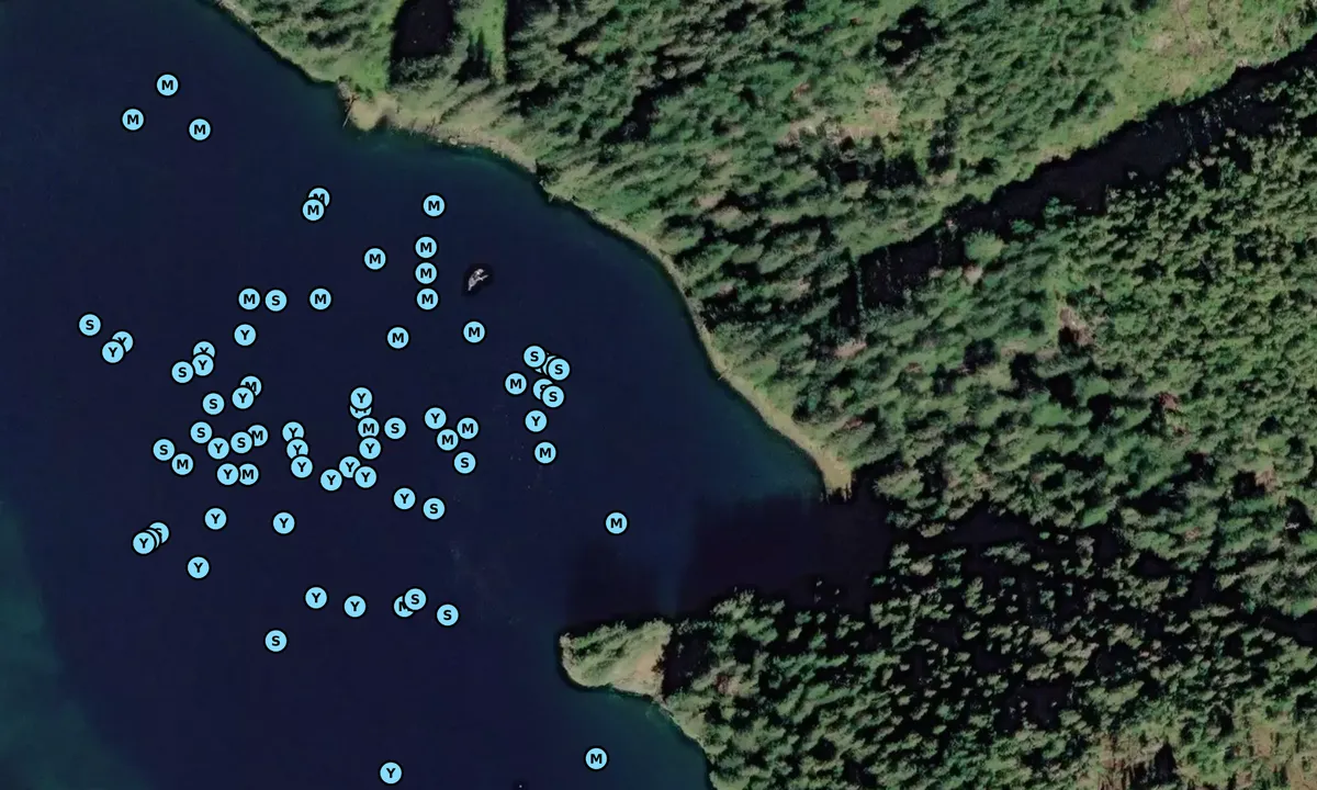 Satelite image of Red Bluff Bay