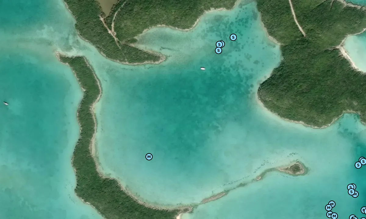 Satelite image of Red Shanks - 2