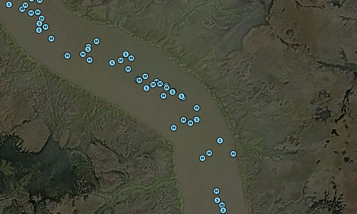 Satelite image of Redbird Creek