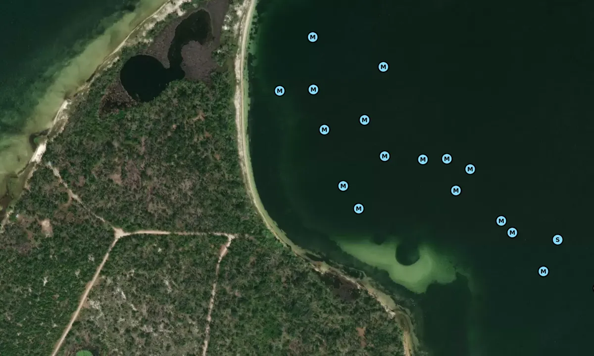 Satelite image of Redfish Point - Panama City