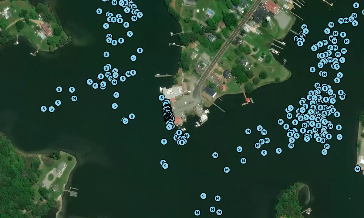 Satelite image of Reedville Marina