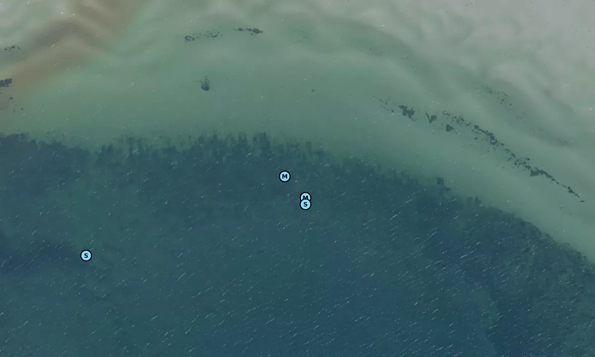 Satelite image of Reersø - Vejlen bouy