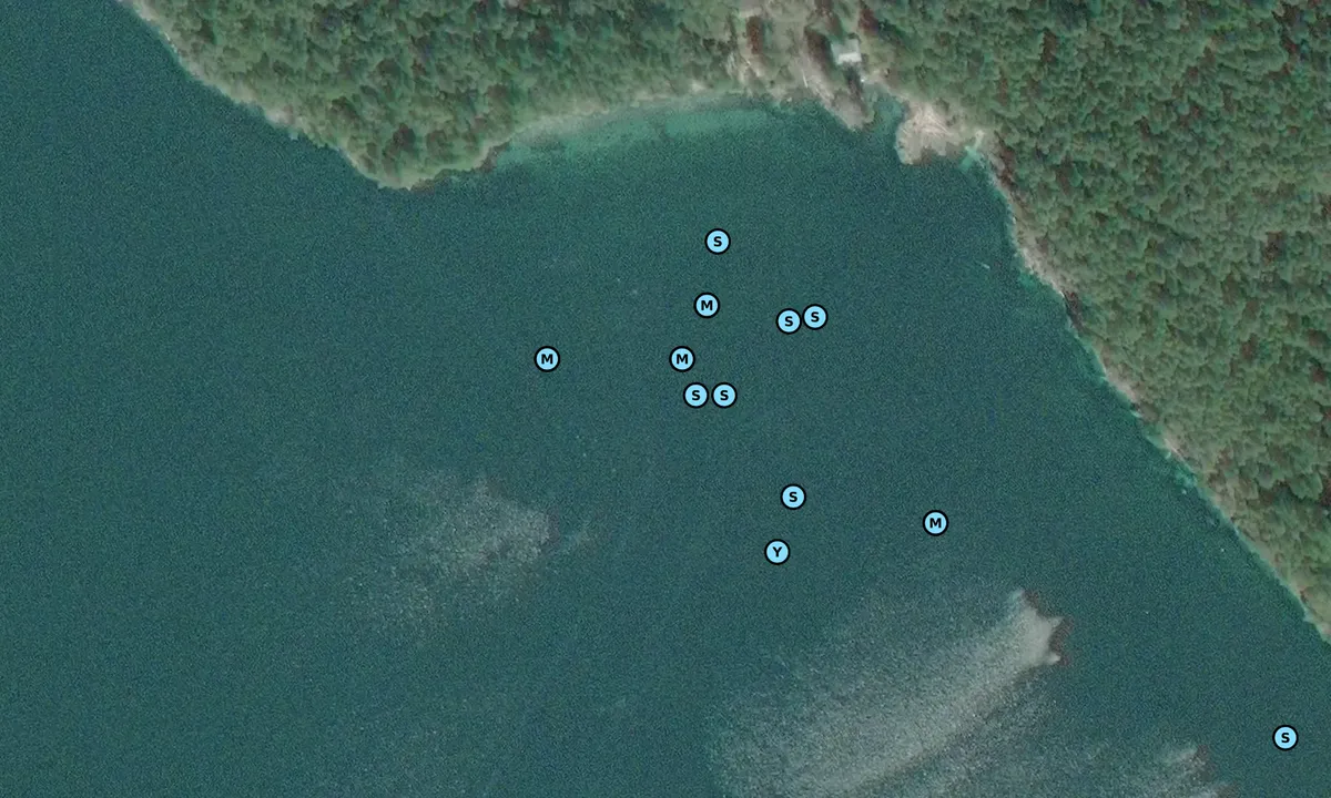 Satelite image of Reid Island