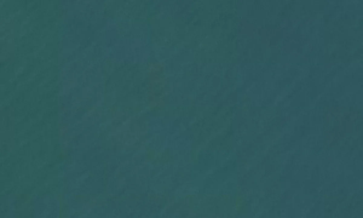 Flyfoto av Rekvedbukta