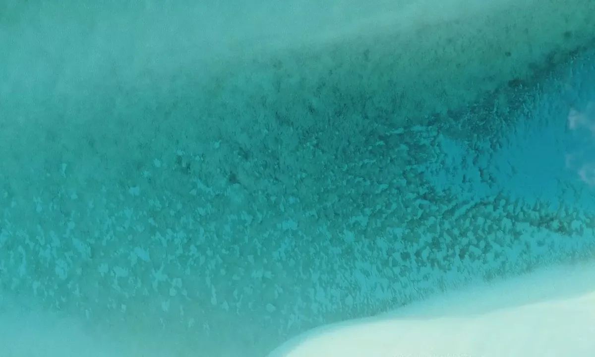 Satelite image of Ribbon SandBar