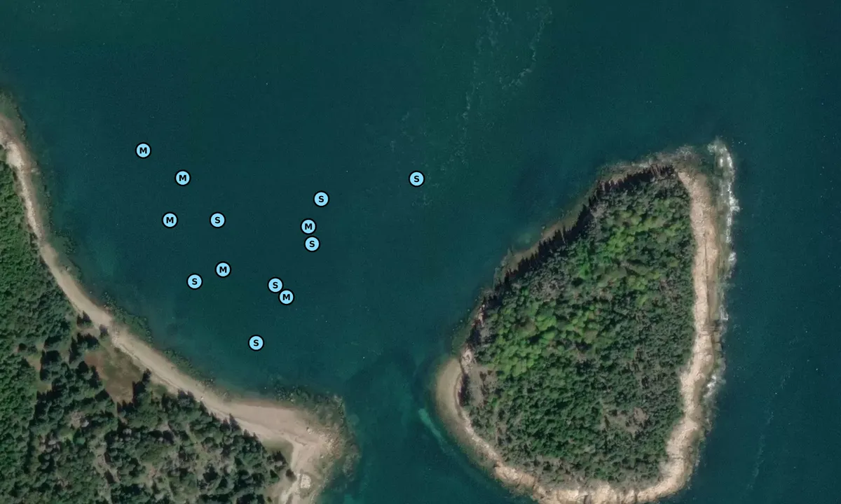 Satelite image of Ringtown Island