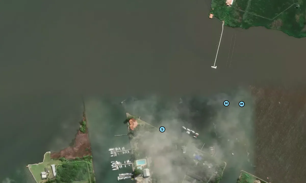Satelite image of Rio Grande