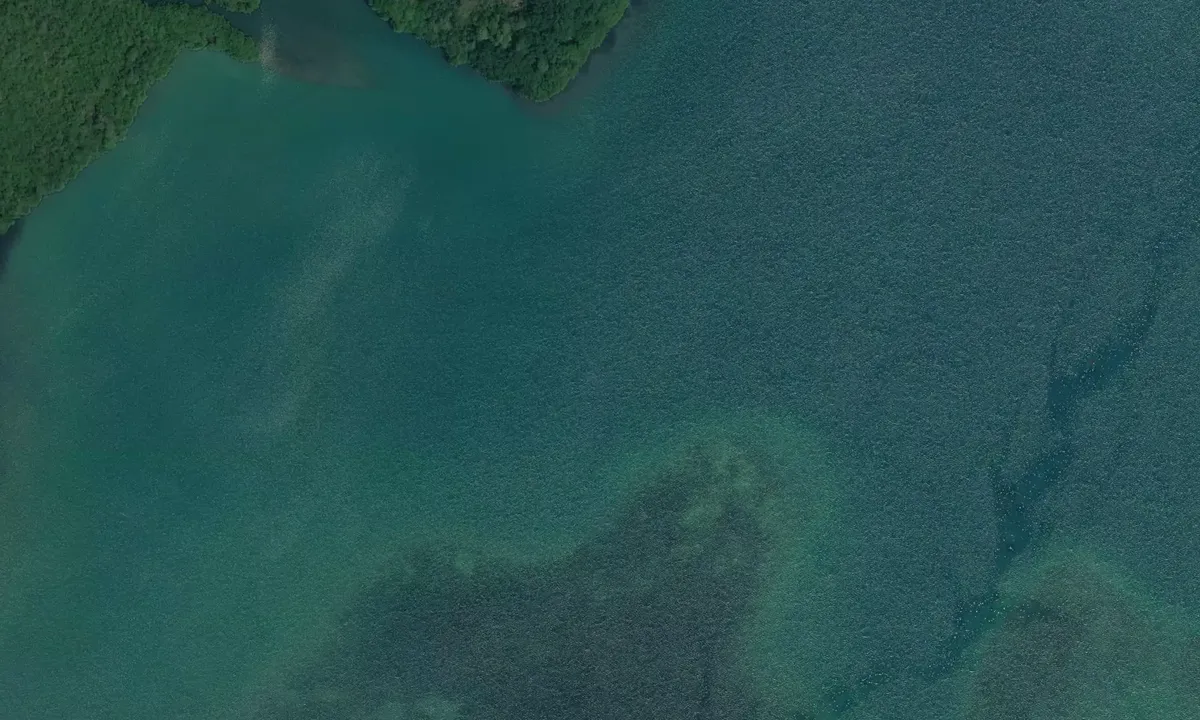 Satelite image of Rio Ni