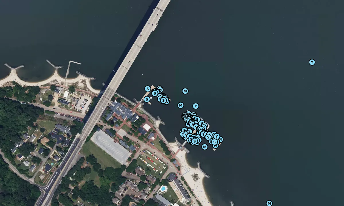 Satelite image of Riverwalk Landing Piers