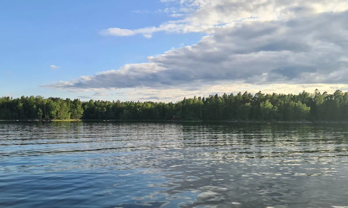 Rödhall, Måsörarna