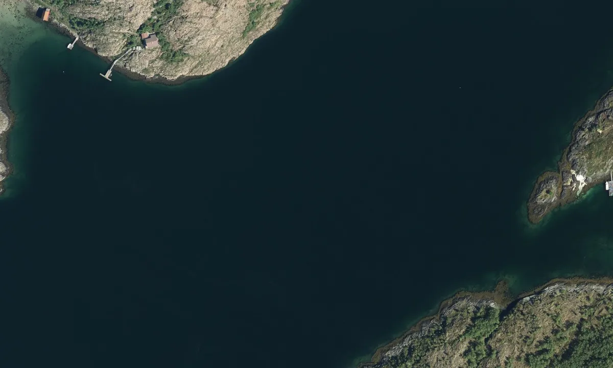 Flyfoto av Rødøyvågen