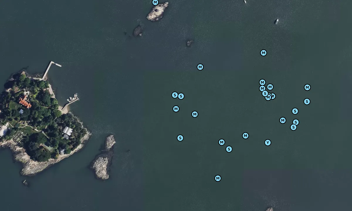 Satelite image of Rogers Island