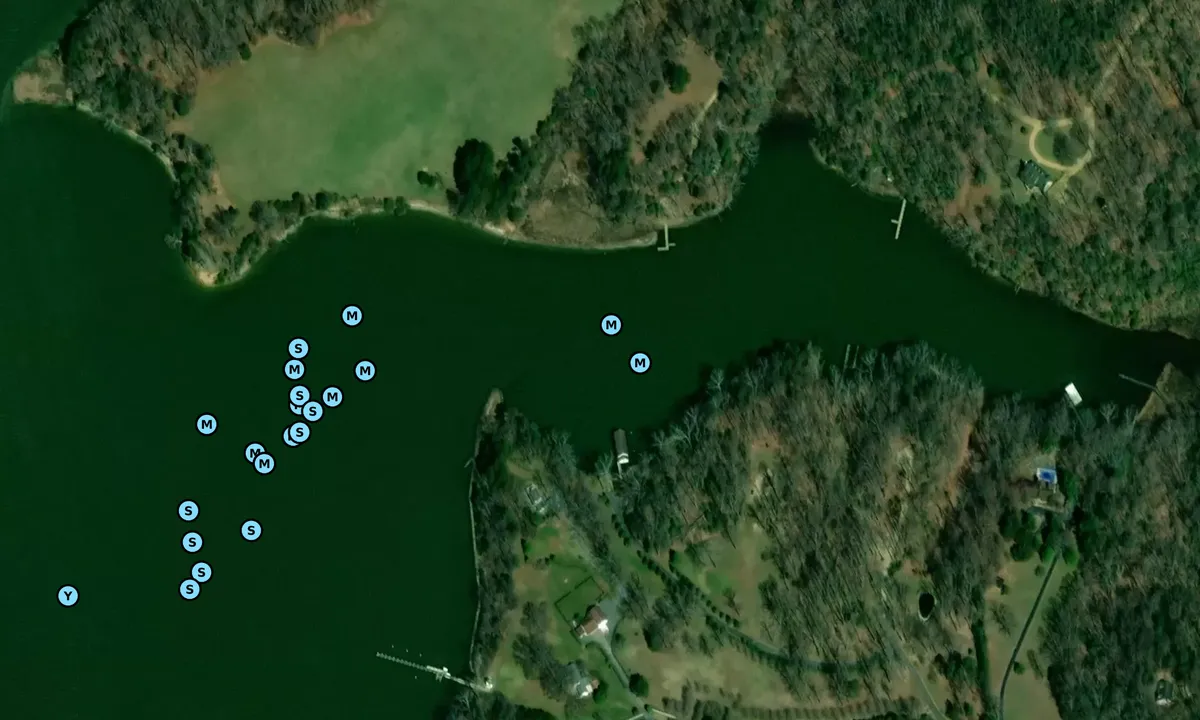 Satelite image of Rollins Cove