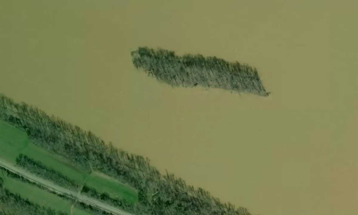 Satelite image of Rome Island