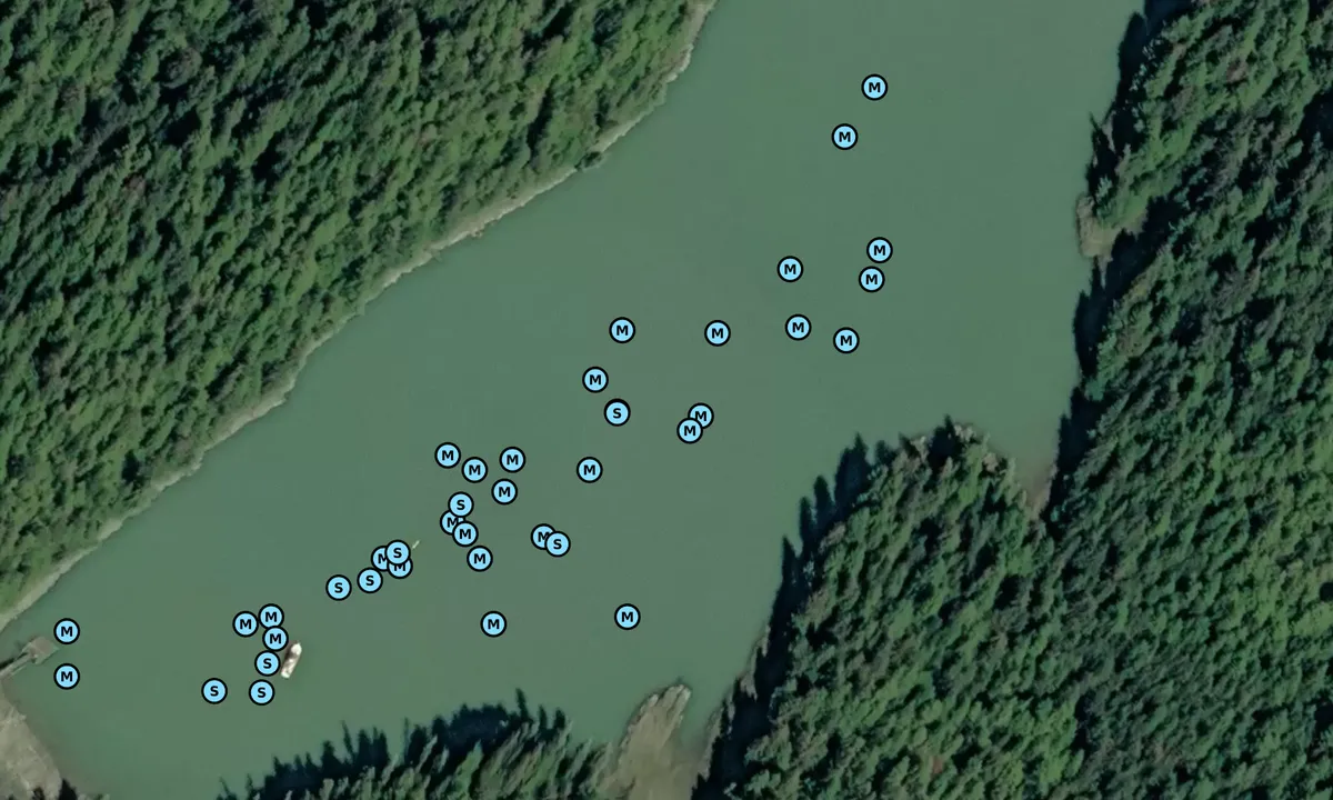 Satelite image of Roosevelt Harbor