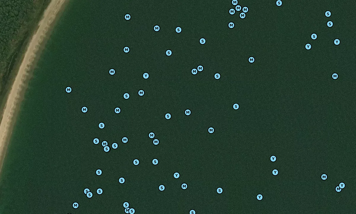 Satelite image of Roque Island - 1