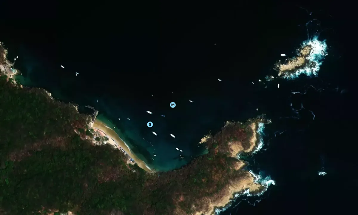 Satelite image of Roqueta Island
