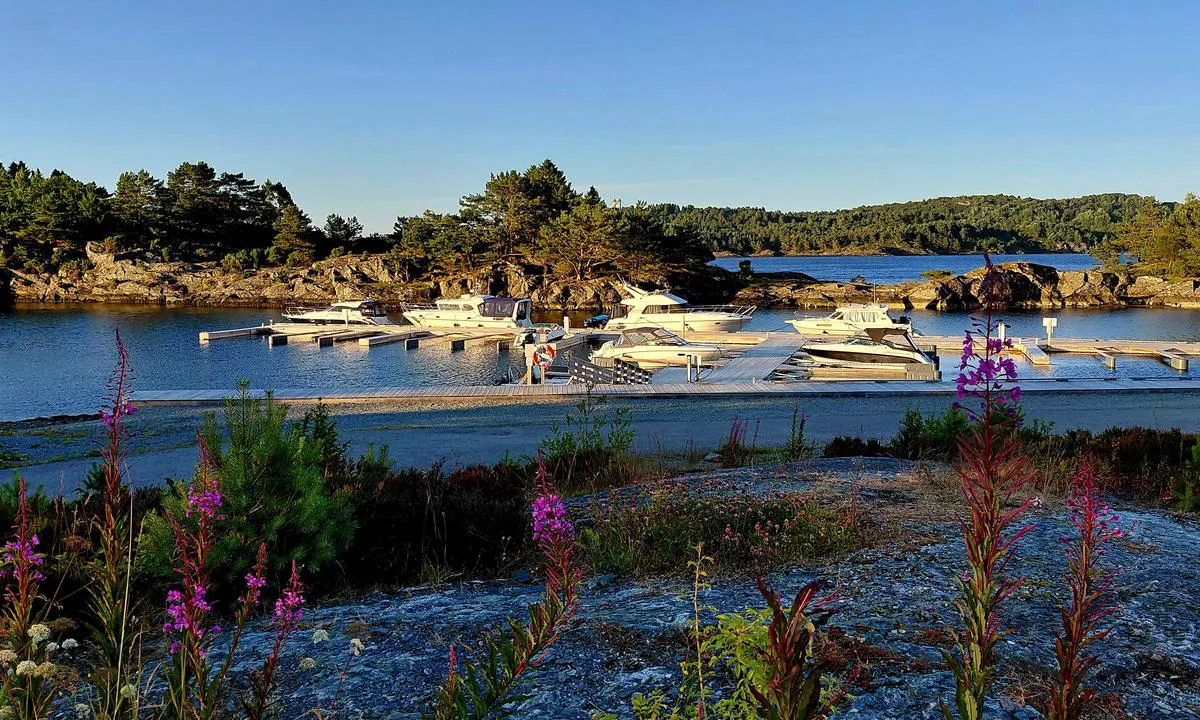 Røyksundkanalen Badeland & Feriesenter: {"base": "no", "no": "Flotte, nye flytebrygger og fastkai.", "se": "Flotta, nya flytbryggor och fastkaj.", "en": "Great, new floating docks and fixed quay.", "da": "Flotte, nye flydebroer og fast kaj.", "fr": "De beaux nouveaux pontons flottants et une jet\u00e9e fixe.", "de": "Tolle, neue Schwimmstege und ein fester Kai.", "es": "Muelle flotante nuevo y firme, adem\u00e1s de muelle fijo.", "it": "Fantastici, nuovi pontili galleggianti e banchine fisse.", "pt": "Diques flutuantes novos e impressionantes e um cais fixo.", "nl": "Prachtige nieuwe drijvende steigers en vaste kade.", "pl": "Nowe, pi\u0119kne pomosty p\u0142ywaj\u0105ce i sta\u0142e nabrze\u017ce.", "uk": "\u0427\u0443\u0434\u043e\u0432\u0456, \u043d\u043e\u0432\u0456 \u043f\u043b\u0430\u0432\u0443\u0447\u0456 \u043f\u0440\u0438\u0447\u0430\u043b\u0438 \u0442\u0430 \u0441\u0442\u0430\u0446\u0456\u043e\u043d\u0430\u0440\u043d\u0430 \u043d\u0430\u0431\u0435\u0440\u0435\u0436\u043d\u0430.", "ro": "Pontoane plutitoare noi \u0219i de lux, \u0219i debarcader fix.", "tr": "Harika, yeni y\u00fczer iskeleler ve sabit iskele.", "el": "\u03a5\u03c0\u03ad\u03c1\u03bf\u03c7\u03b5\u03c2, \u03bd\u03ad\u03b5\u03c2 \u03c0\u03bb\u03c9\u03c4\u03ad\u03c2 \u03b1\u03c0\u03bf\u03b2\u03ac\u03b8\u03c1\u03b5\u03c2 \u03ba\u03b1\u03b9 \u03c3\u03c4\u03b1\u03b8\u03b5\u03c1\u03ad\u03c2 \u03c0\u03c1\u03bf\u03b2\u03bb\u03ae\u03c4\u03b5\u03c2.", "cs": "Kr\u00e1sn\u00e9, nov\u00e9 plovouc\u00ed mola a pevn\u00fd p\u0159\u00edstav.", "hu": "Remek, \u00faj \u00fasz\u00f3 m\u00f3l\u00f3k \u00e9s \u00e1lland\u00f3 rakpart.", "fi": "Upeat, uudet kelluvat laiturit ja kiinte\u00e4 laituri.", "bg": "\u0427\u0443\u0434\u0435\u0441\u043d\u0438, \u043d\u043e\u0432\u0438 \u043f\u043b\u0430\u0432\u0430\u0449\u0438 \u043a\u0435\u0439\u043e\u0432\u0435 \u0438 \u0441\u0442\u0430\u0431\u0438\u043b\u0435\u043d \u043a\u0435\u0439.", "sr": "Odli\u010dni, novi plutaju\u0107i molovi i fiksna pristani\u0161ta.", "et": "Suurep\u00e4rased, uued ujuvkaid ja kindlad kai.", "lv": "Skaistas, jaunas peldo\u0161\u0101s piest\u0101tnes un stacion\u0101rie piest\u0101t\u0146i.", "lt": "Puikus, nauji plaukiojantys pontonai ir stacionari krantin\u0117."}