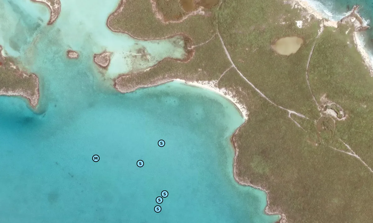 Satelite image of Rudder Cay - North