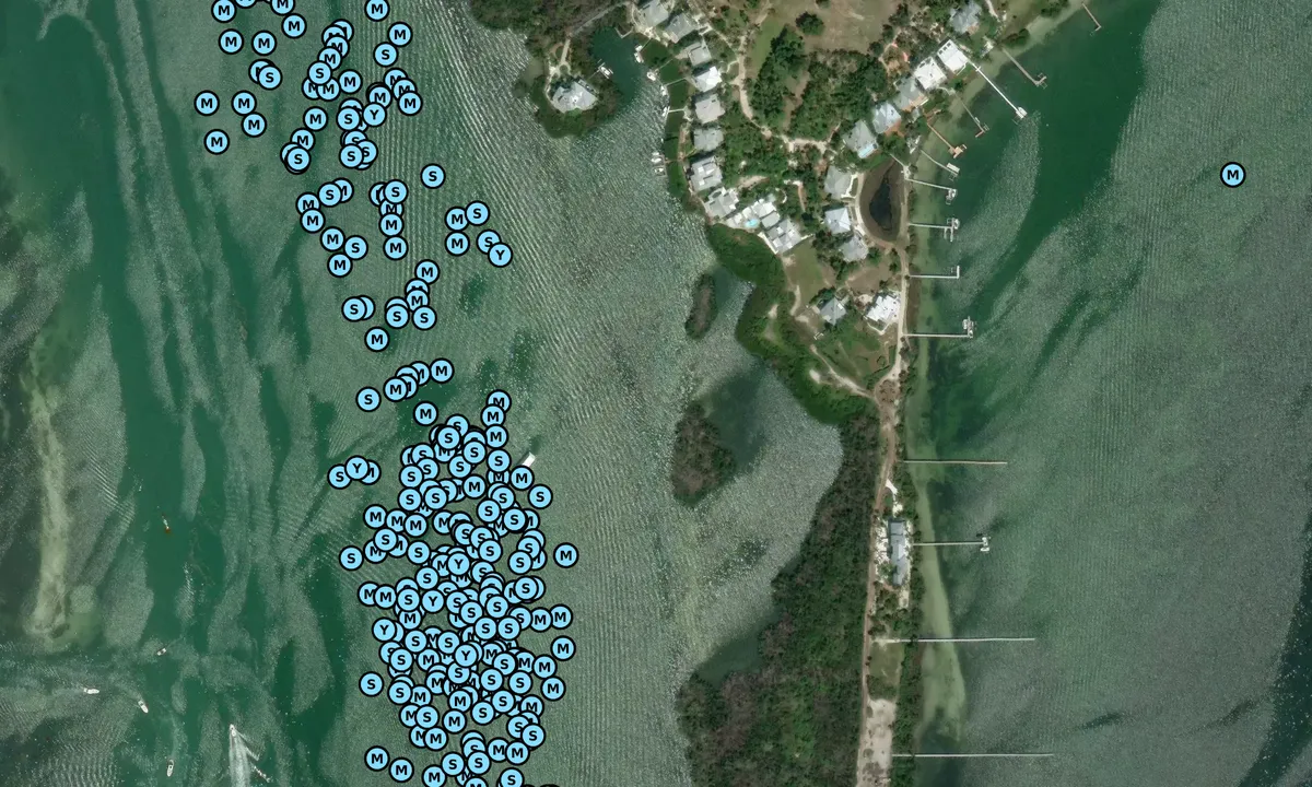 Satelite image of Rum Cove