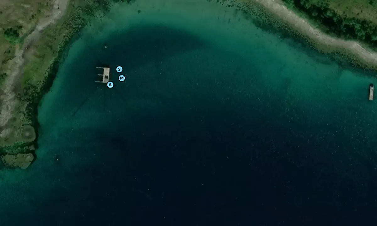 Satelite image of Ryøya