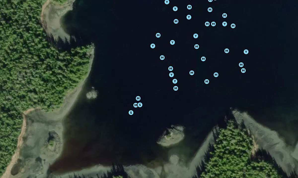 Satelite image of Ryus Bay