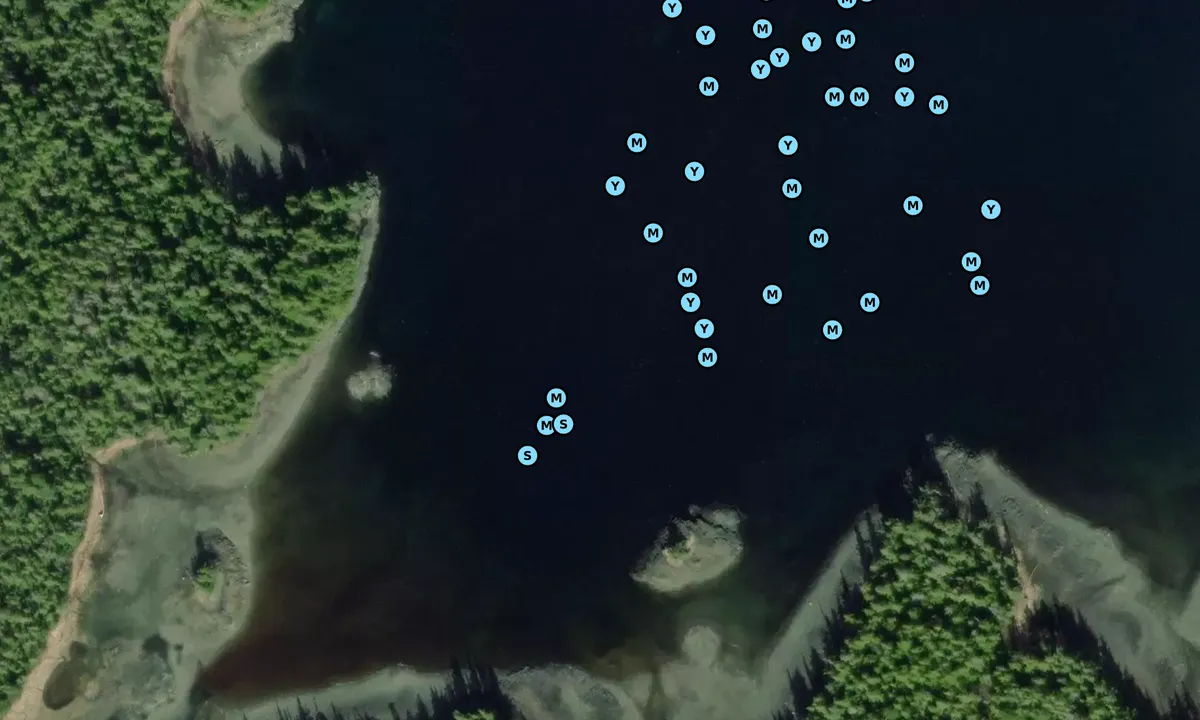 Satelite image of Ryus Bay