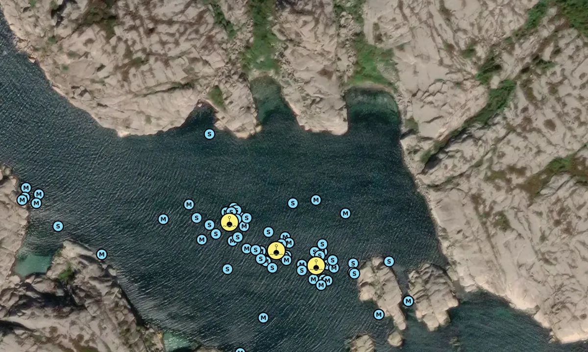 Satelite image of S Usholmen - SXK Västkust bouy