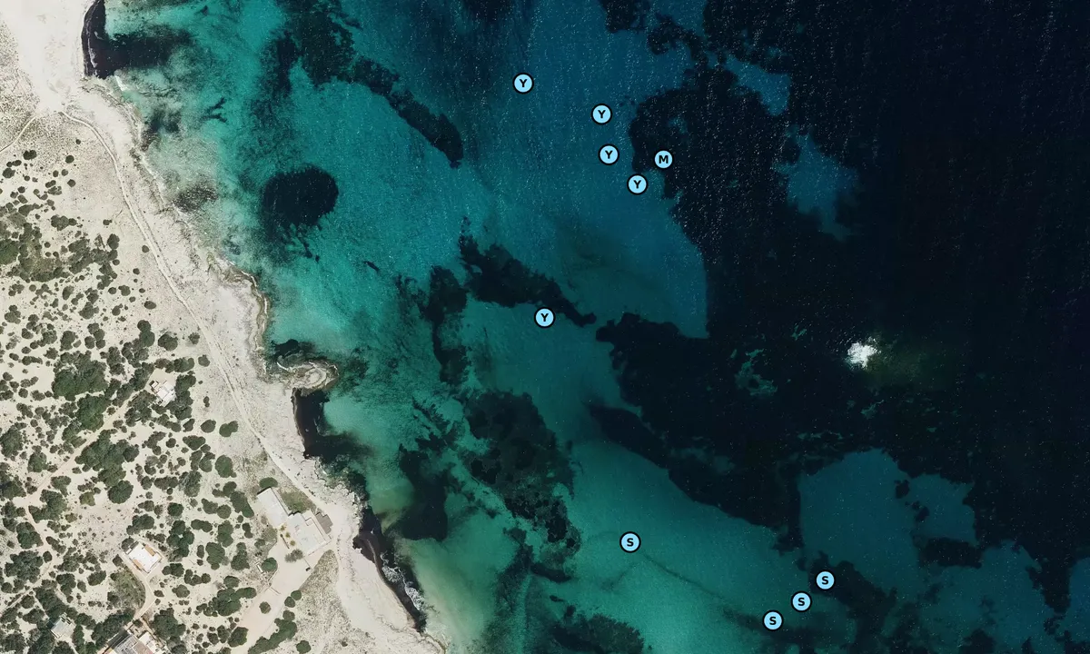 Satelite image of Sa Roqueta