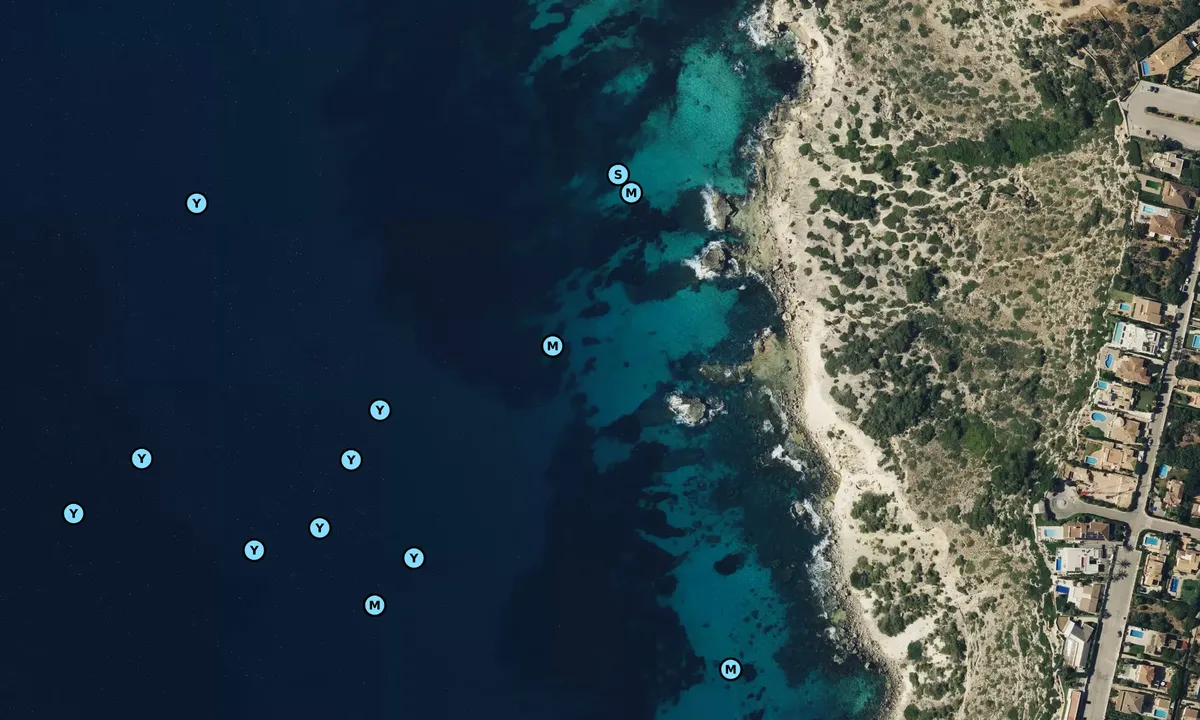 Satelite image of Sa Torre