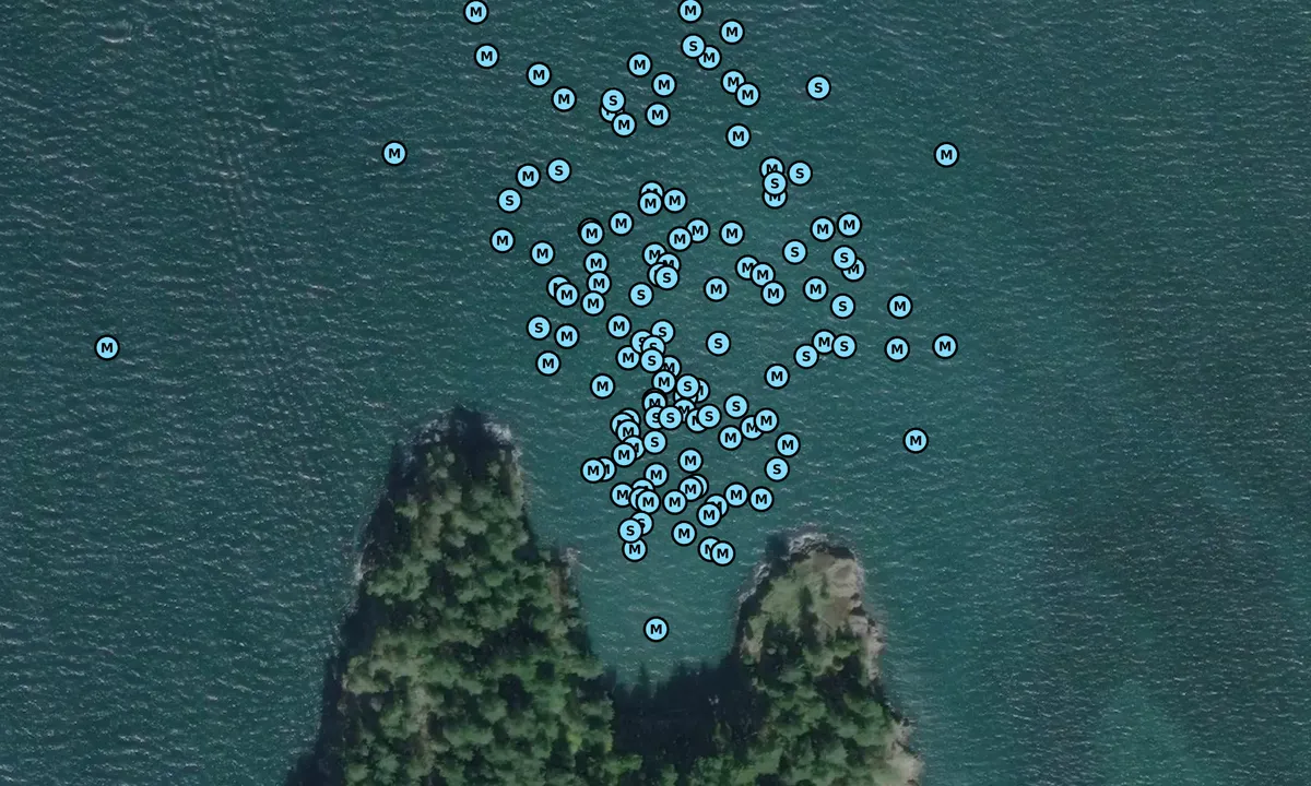 Satelite image of Saddlebag Island - North