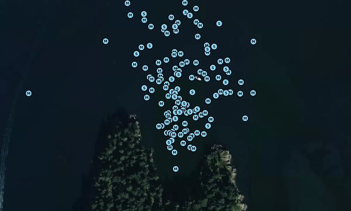 Satelite image of Saddlebag Island - North