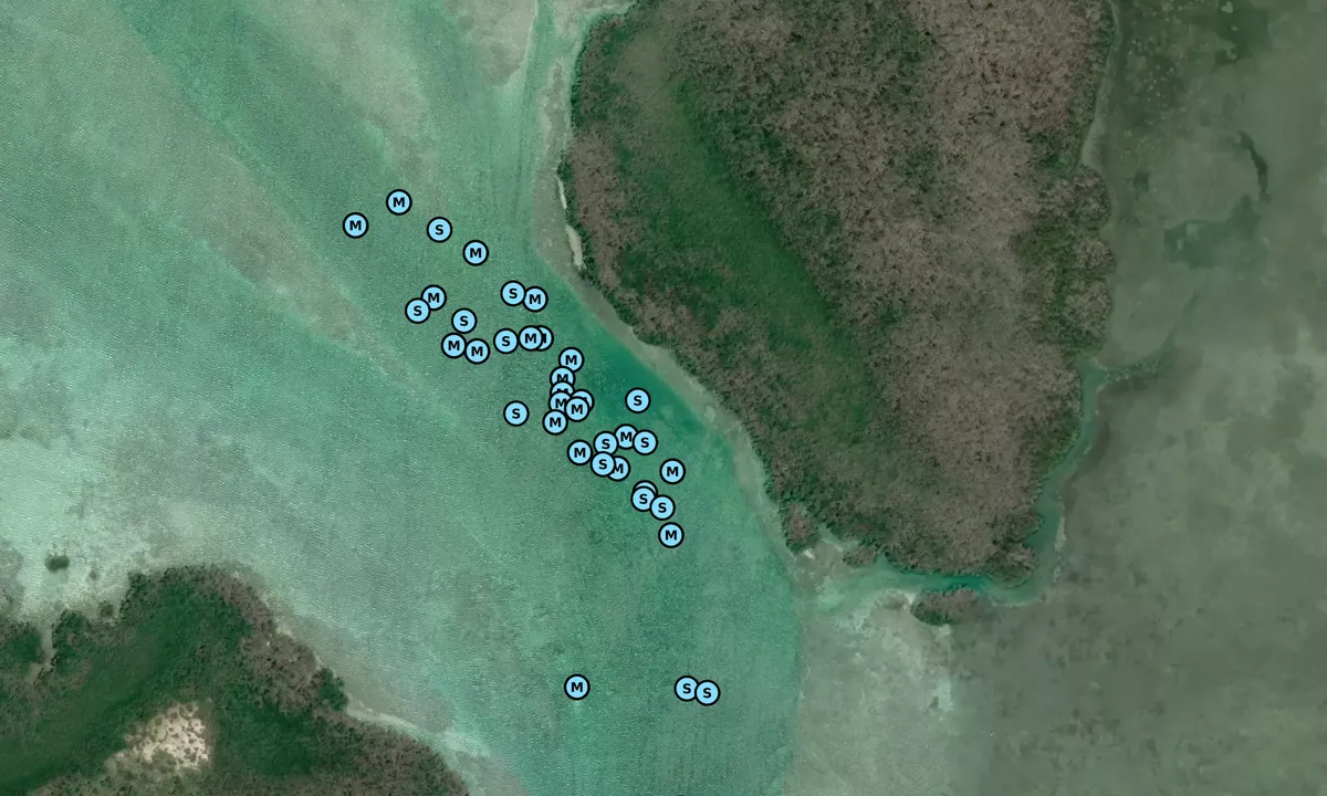 Satelite image of Saddlebunch Harbor