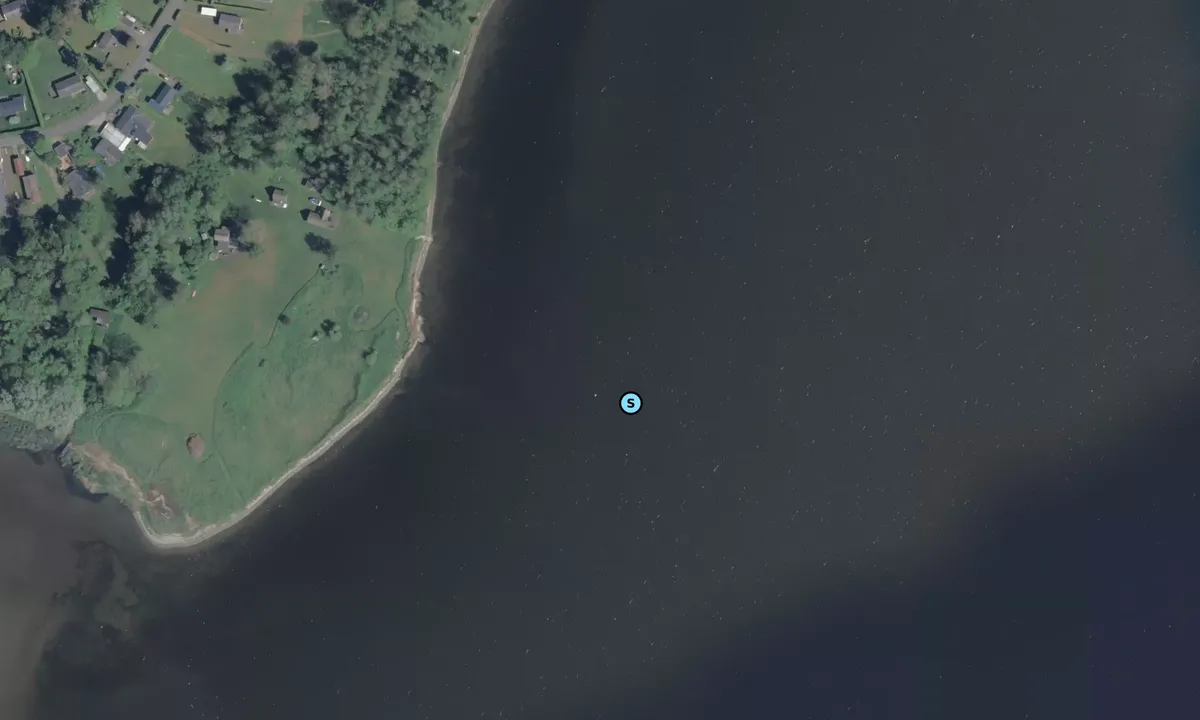 Satelite image of Sæby Skoven bouy