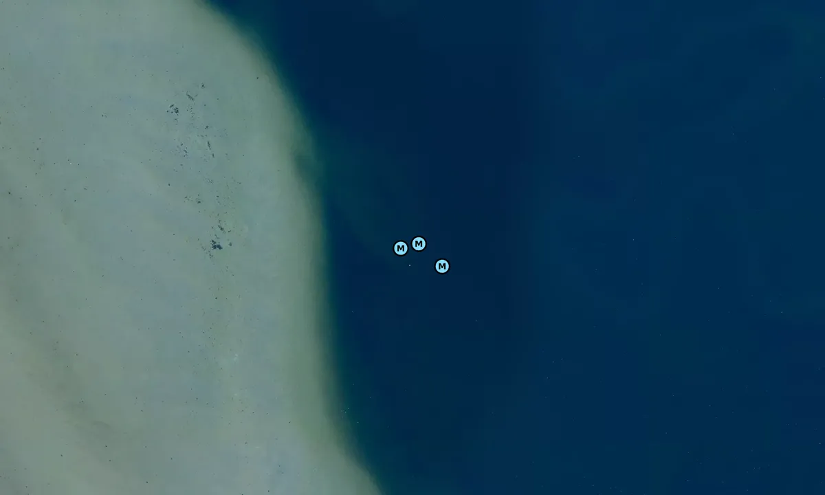 Satelite image of Sælvig bouy