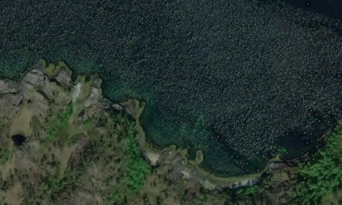 Satelite image of Sagfjordbotn Sørfold